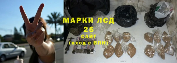 ГАЛЛЮЦИНОГЕННЫЕ ГРИБЫ Лабытнанги