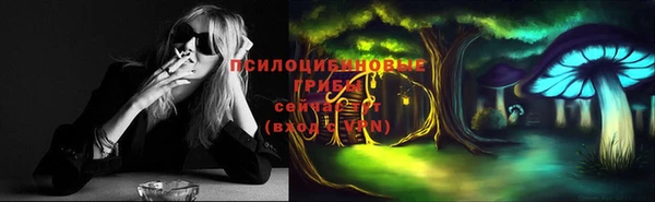 скорость Лагань