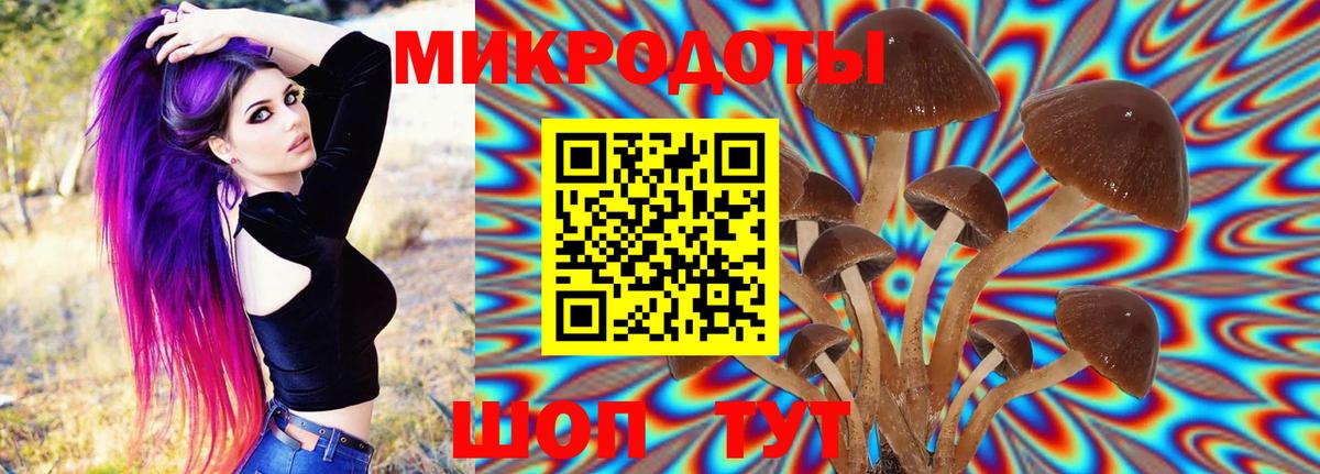 Галлюциногенные грибы MAGIC MUSHROOMS  Вход с VPN  Магнитогорск 